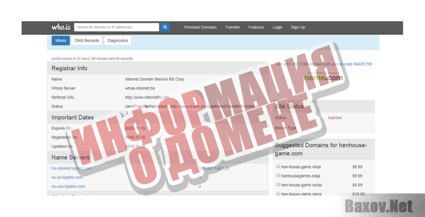 Дело было в курятнике Информация о домене
