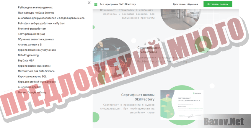 SkillFactory   Предложений много