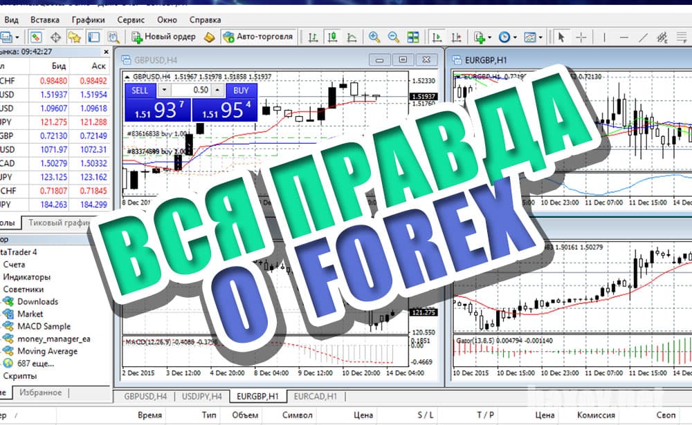 Forex