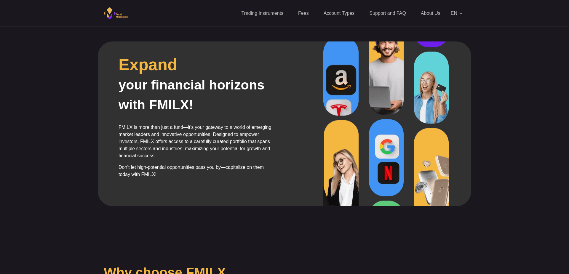 Screenshot for new-millennium-fund.net - 3