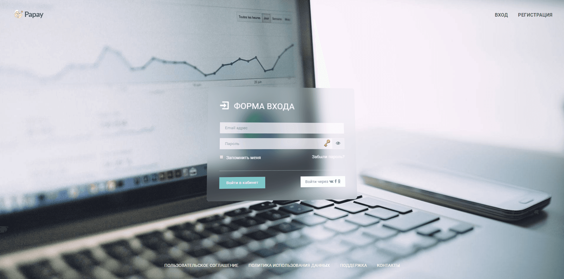 Papay.biz - обзор сервиса приема платежей