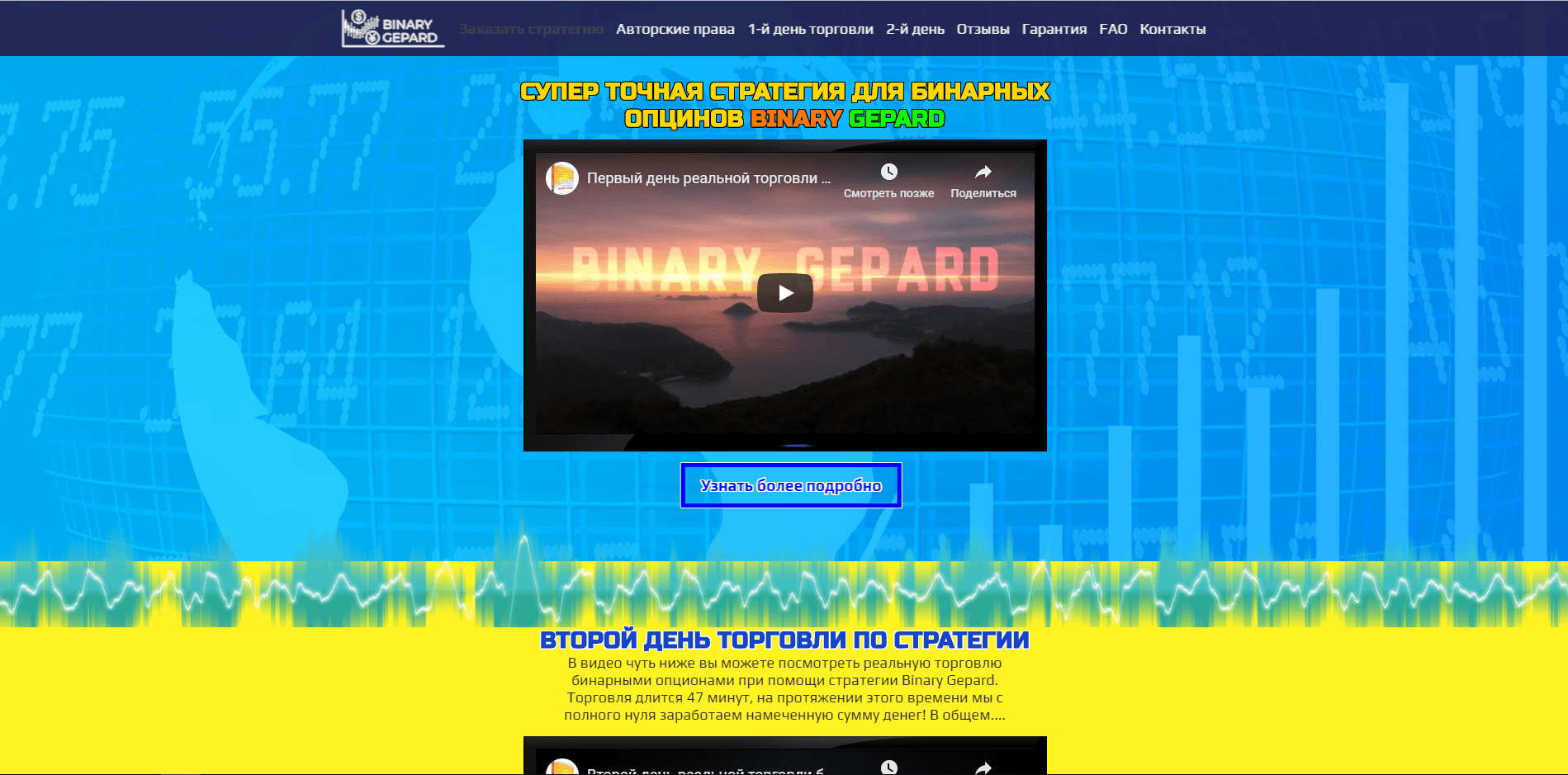 Стратегия Binary Gepard