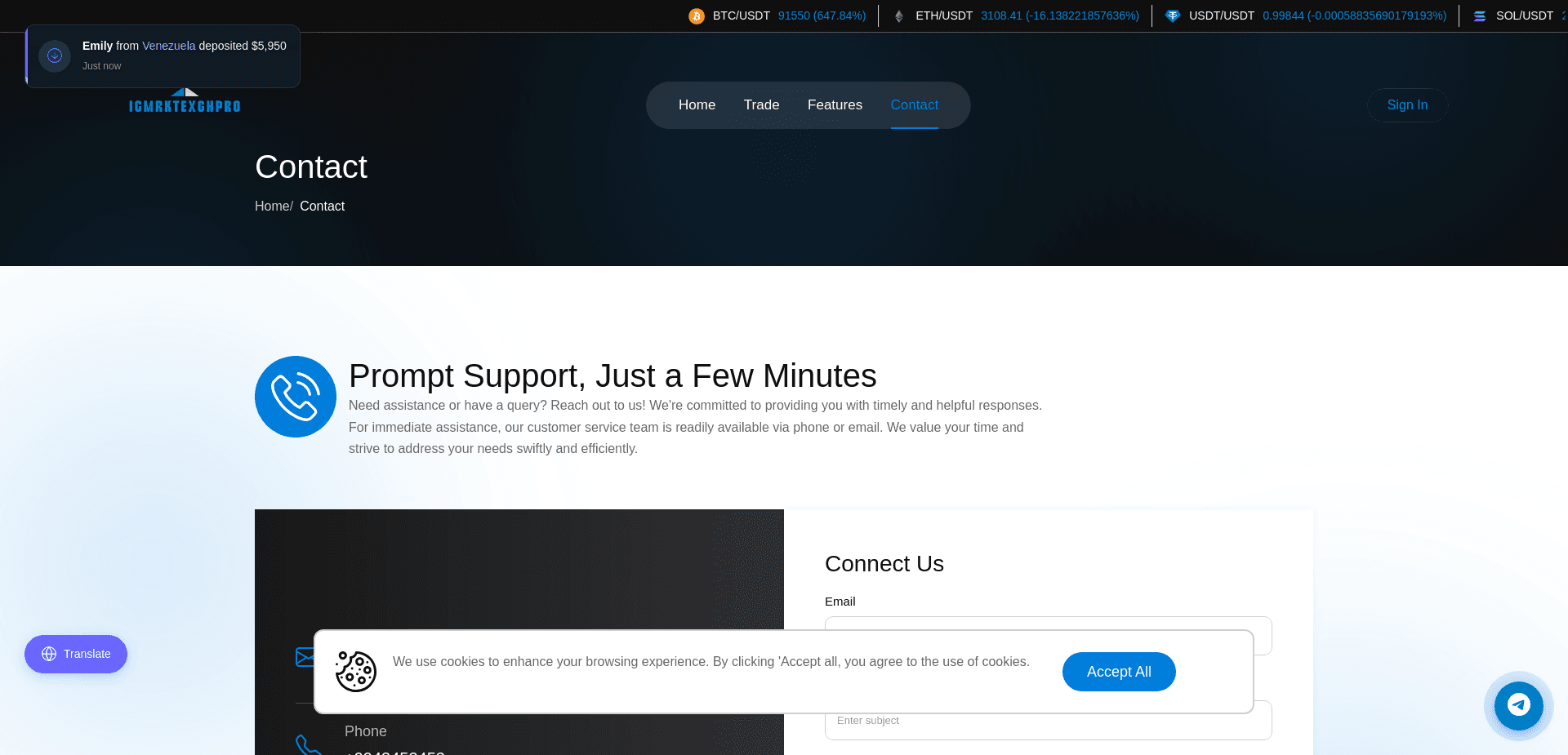 Screenshot for icmrktexchpro.live - 1