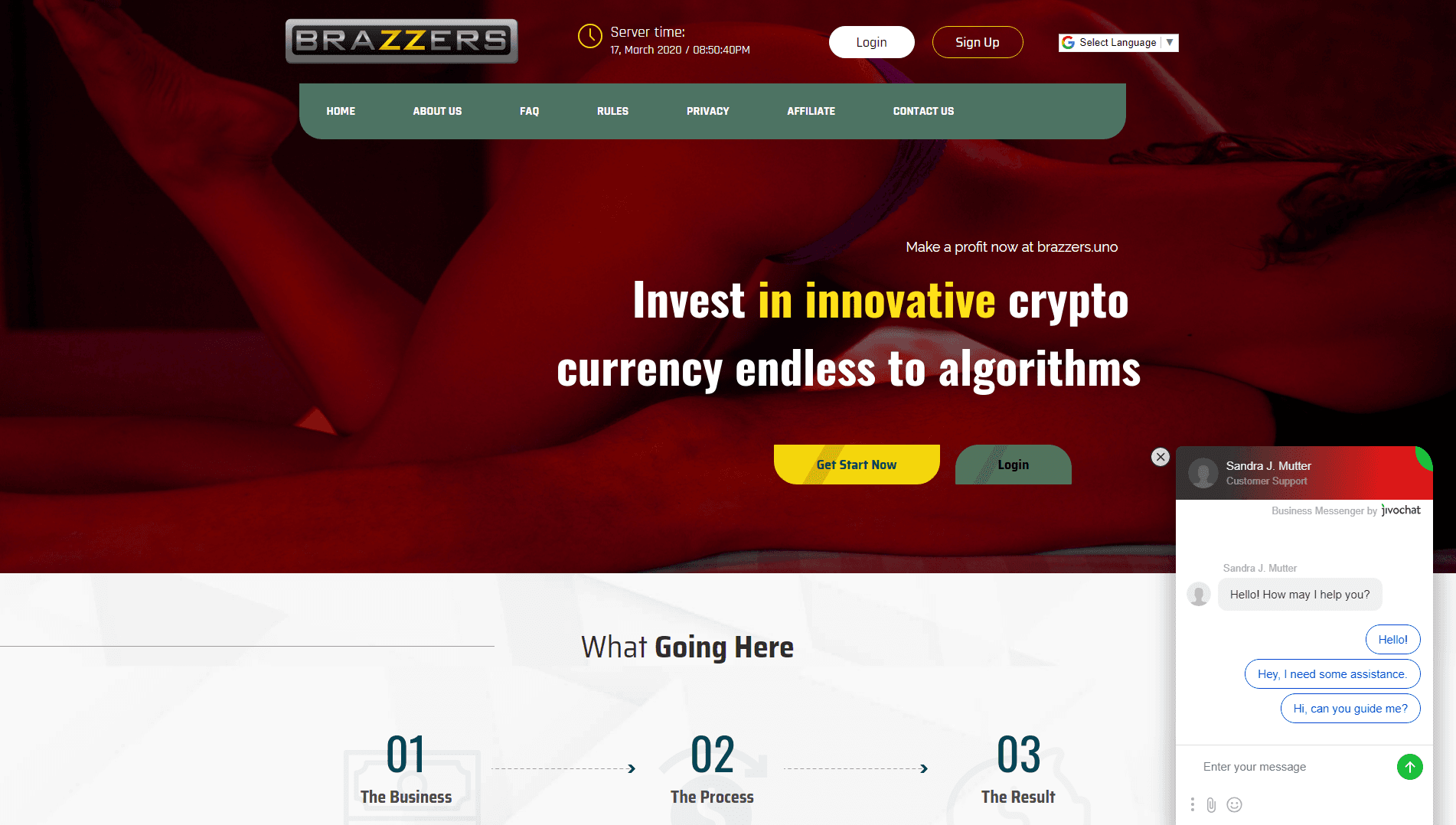 Brazzers limited - вся подробная информация о проекте