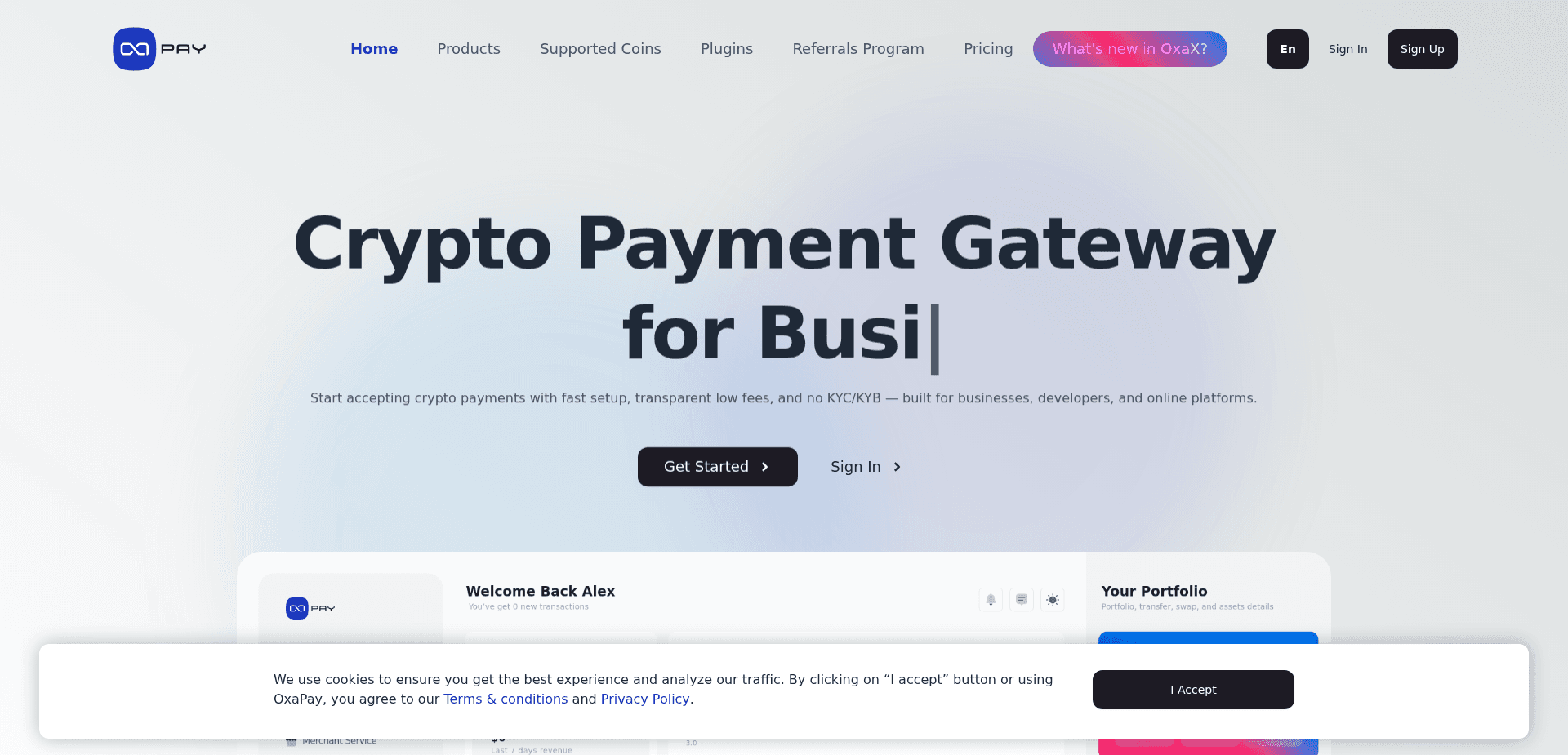 Screenshot for oxapay.com - 2