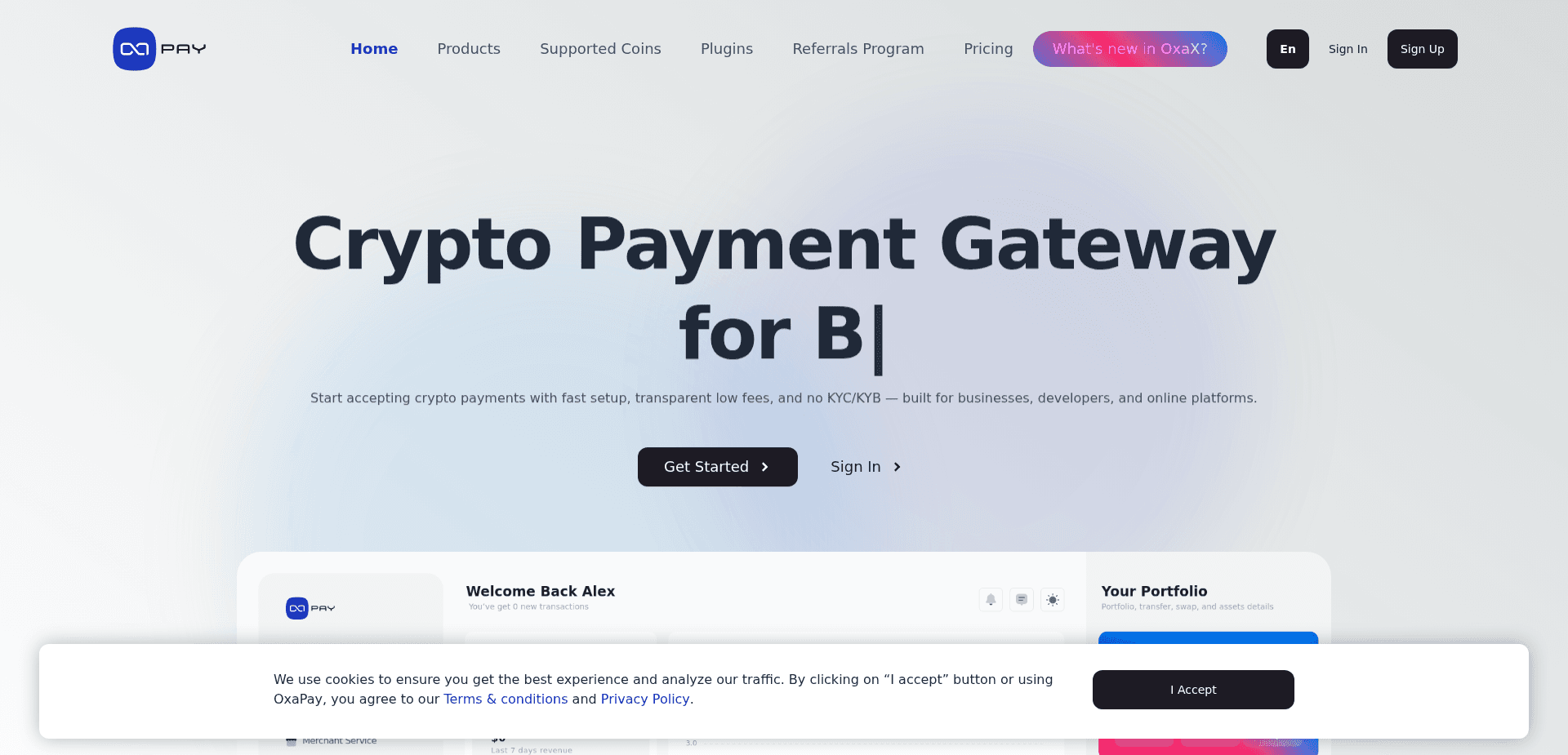 Screenshot for oxapay.com - 1