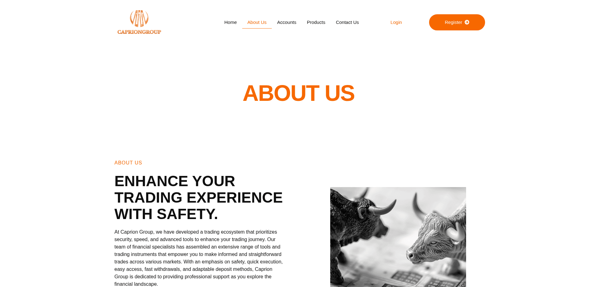 Screenshot for capriongroup.com - 2