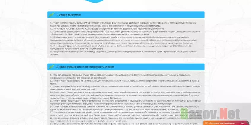 BOOMERANGMANY.LTD - Отказ от ответственности