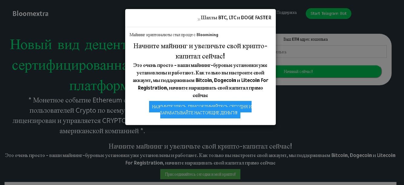 Bloomextra - Лохотрон