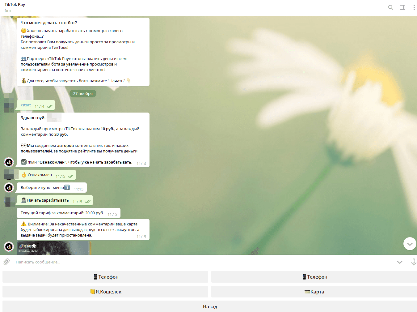 ТикТок Бот