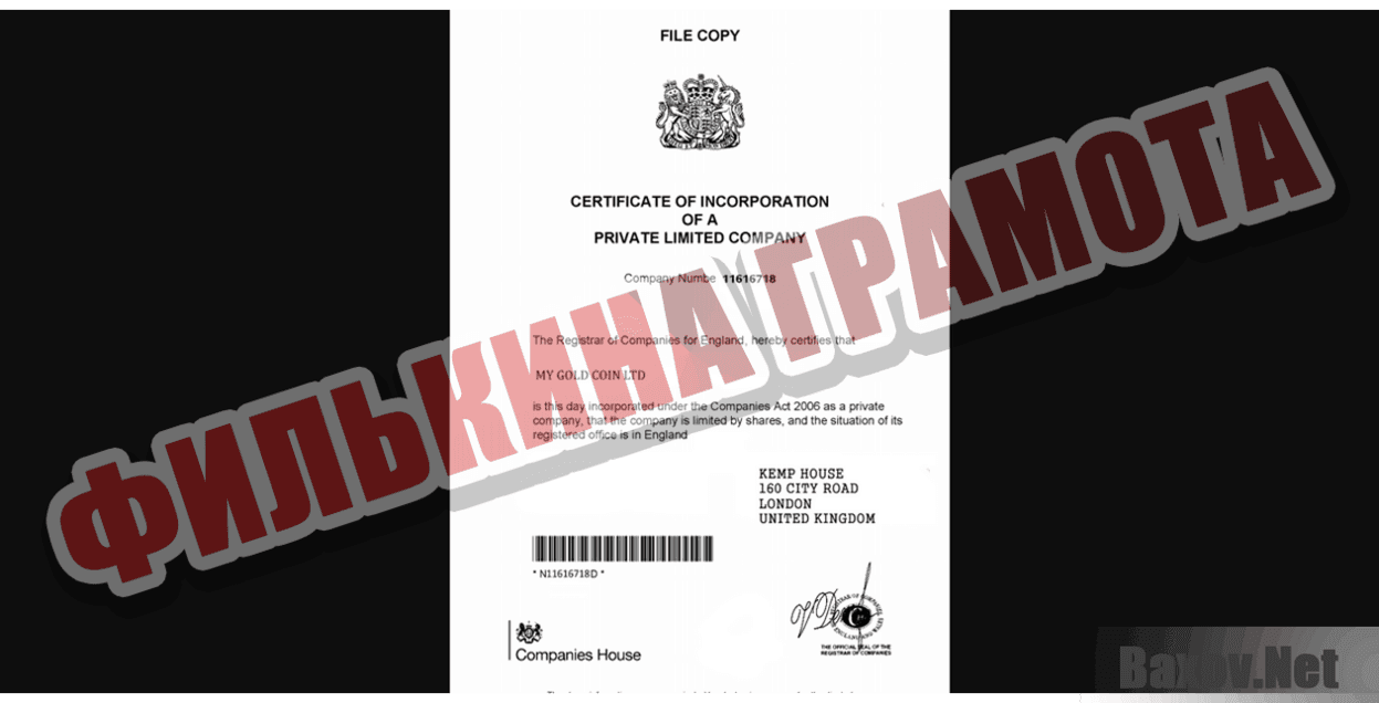 Gold Coin Star Филькина грамота