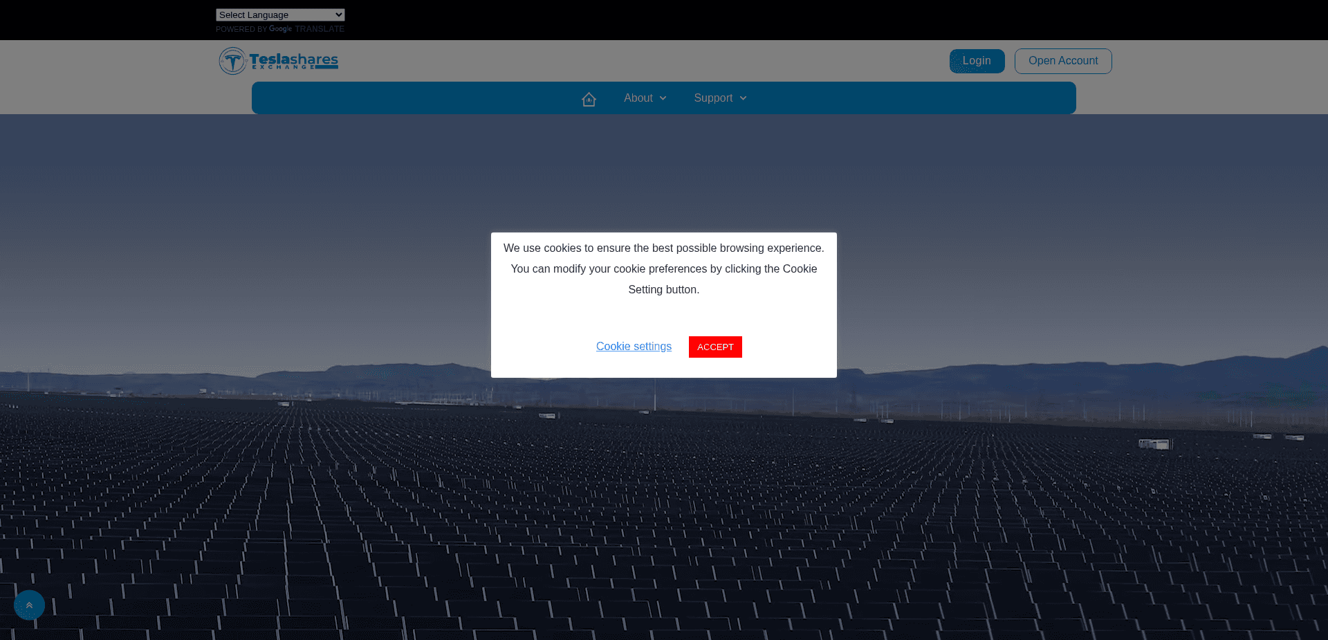 Screenshot for teesla.site - 1