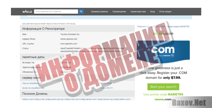 IndigoCoin Информация о домене