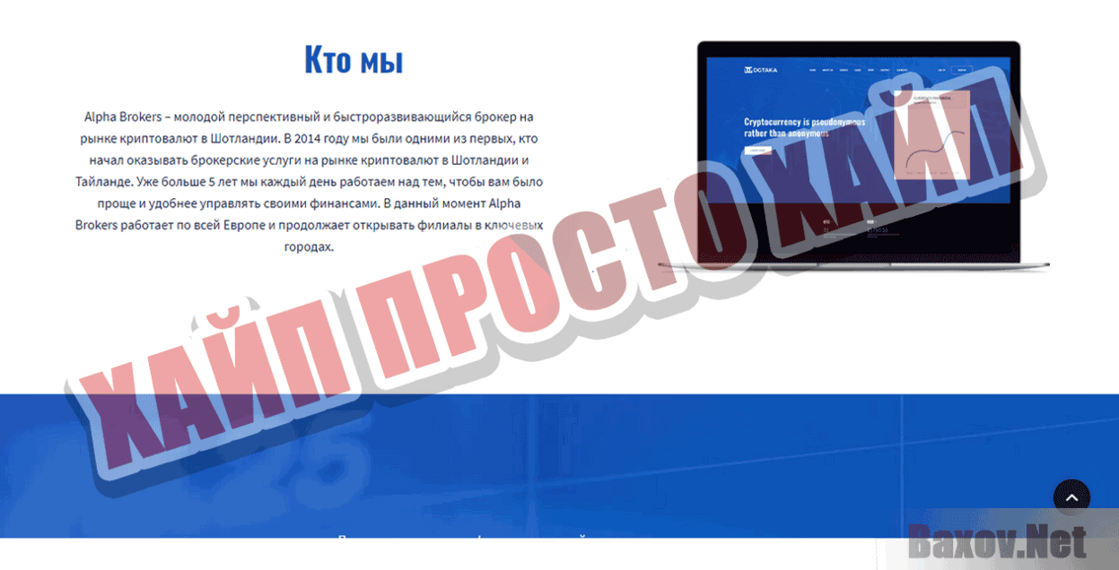 Alpha Brokers Хайп Просто хайп