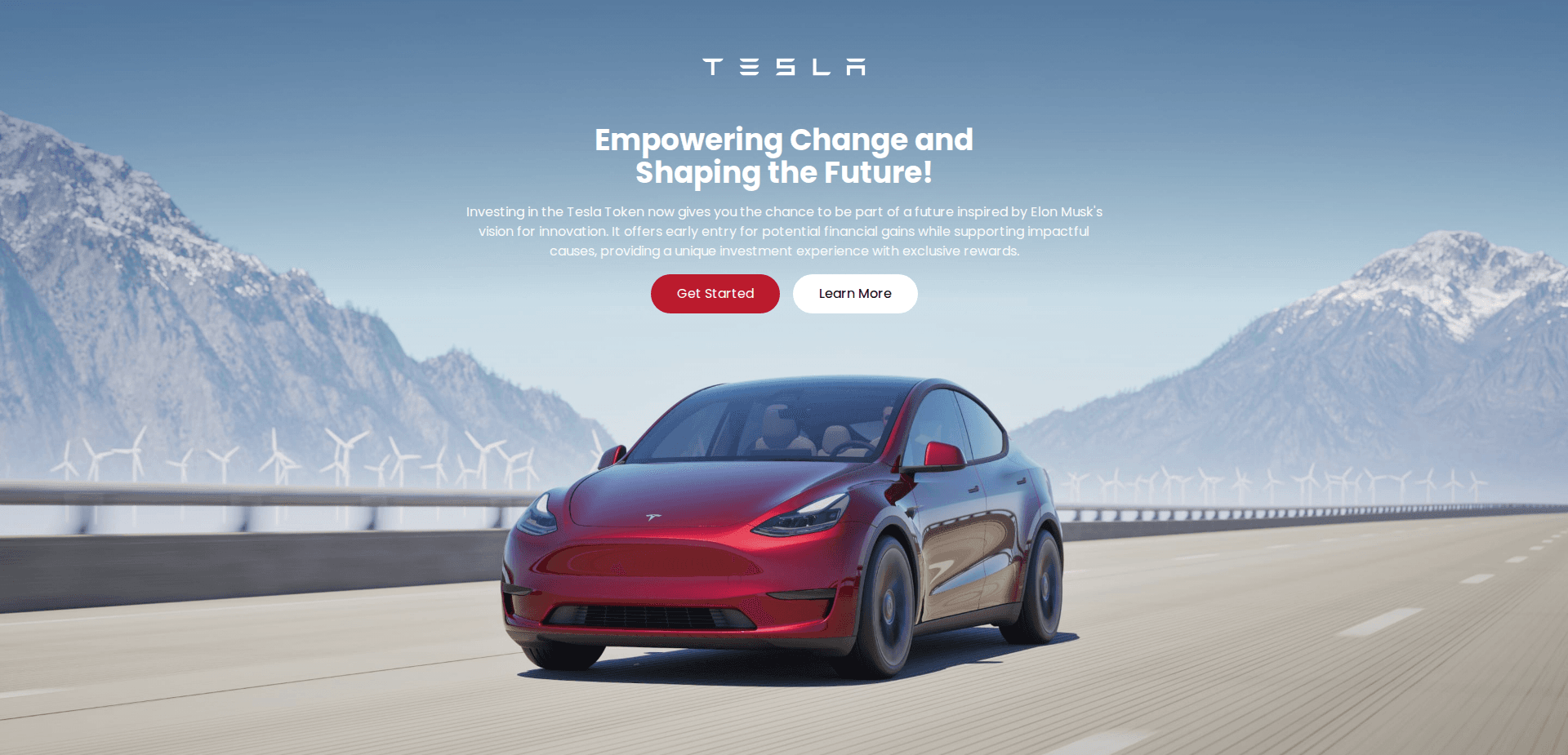 Website screenshot for https://teslafastminning.com/ - 1