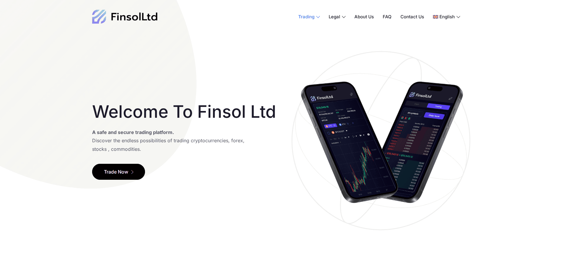 Website screenshot for https://www.finsolltd.com/ - 1