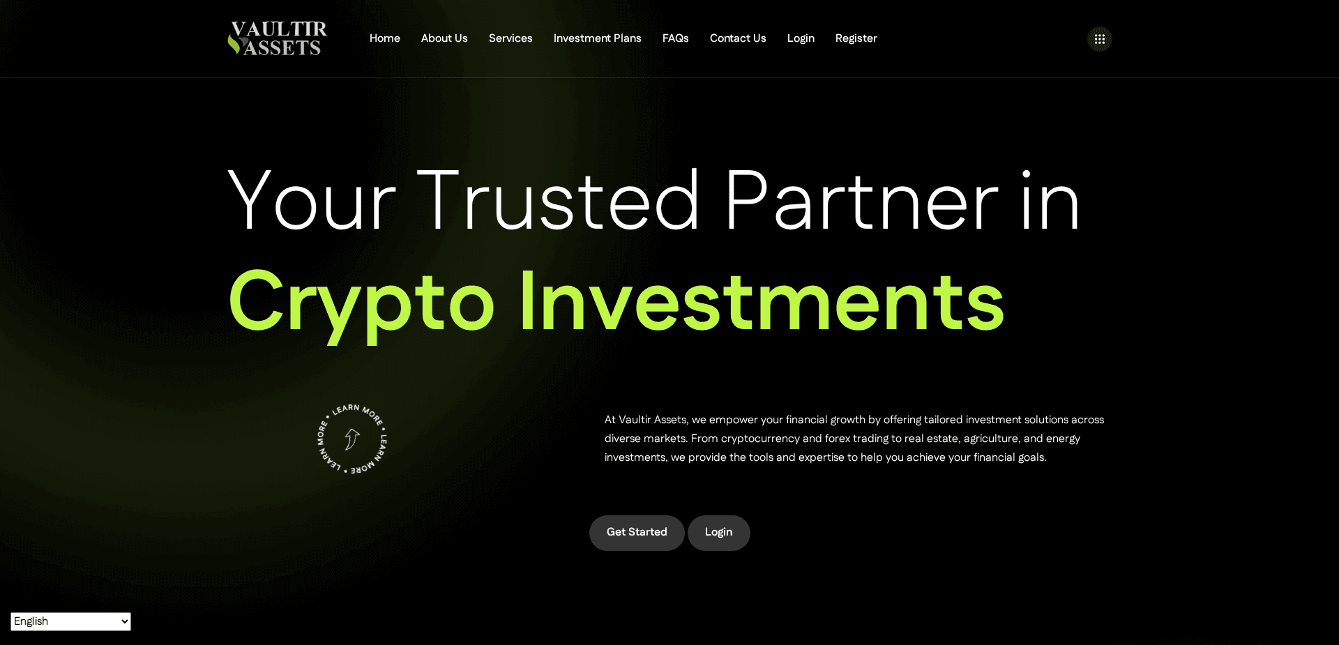 Website screenshot for https://vaultirassets.org/ - 1