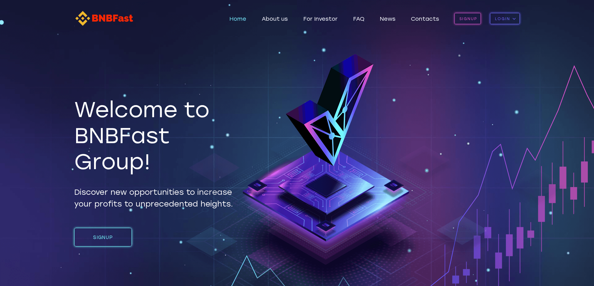 Website screenshot for https://bnbfast.top/ - 1