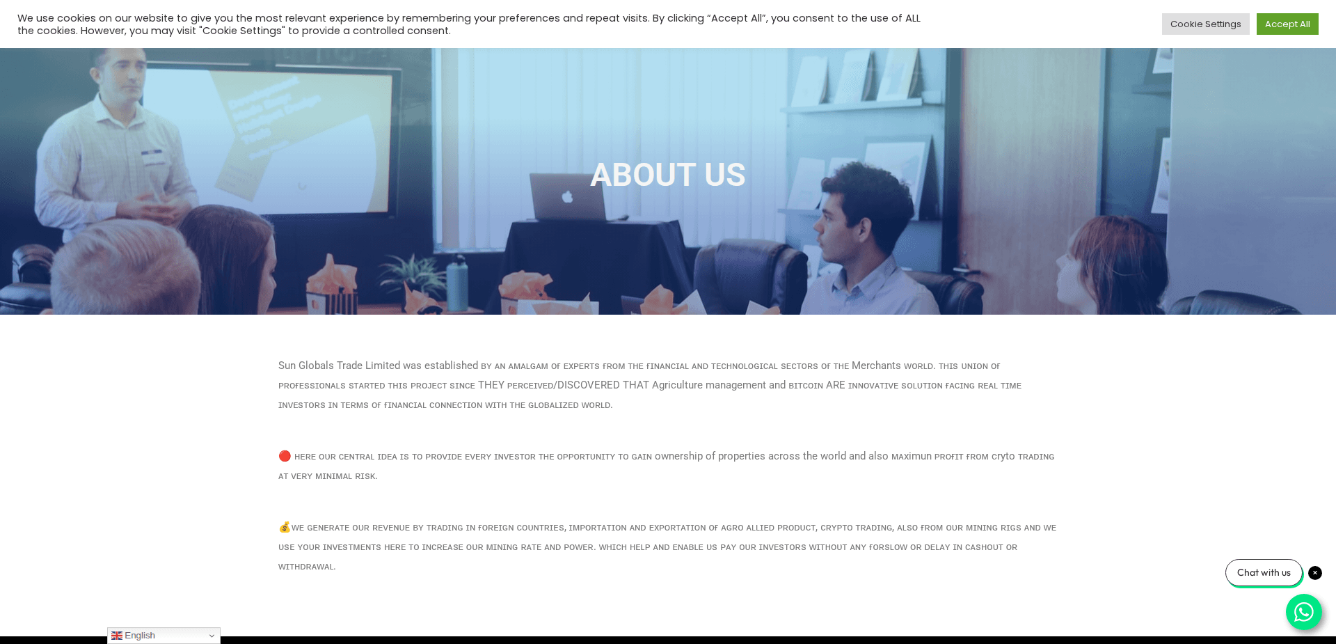 Website screenshot for https://sunglobalstradelimited.com/ - 3