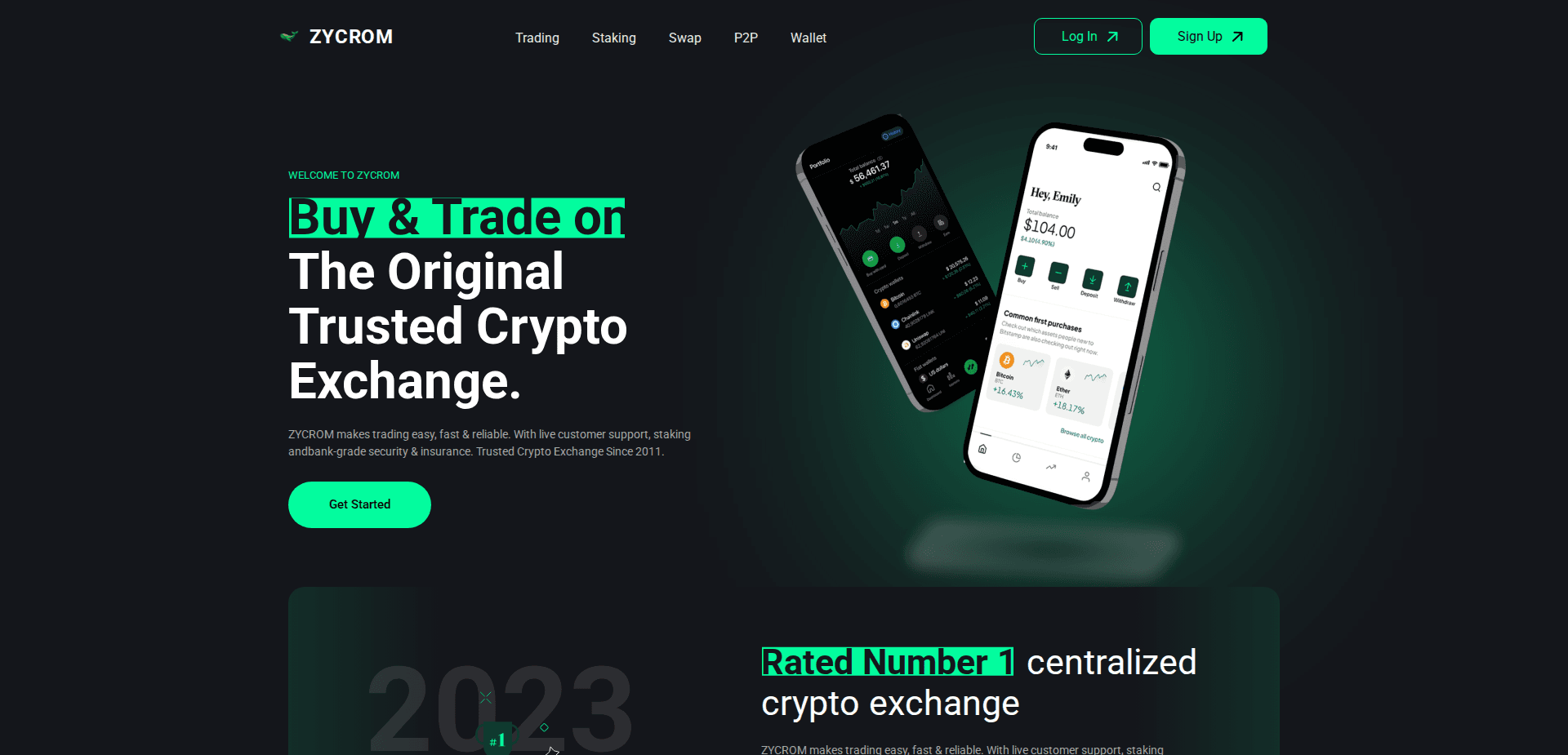 Website screenshot for https://zycrom.com/ - 1