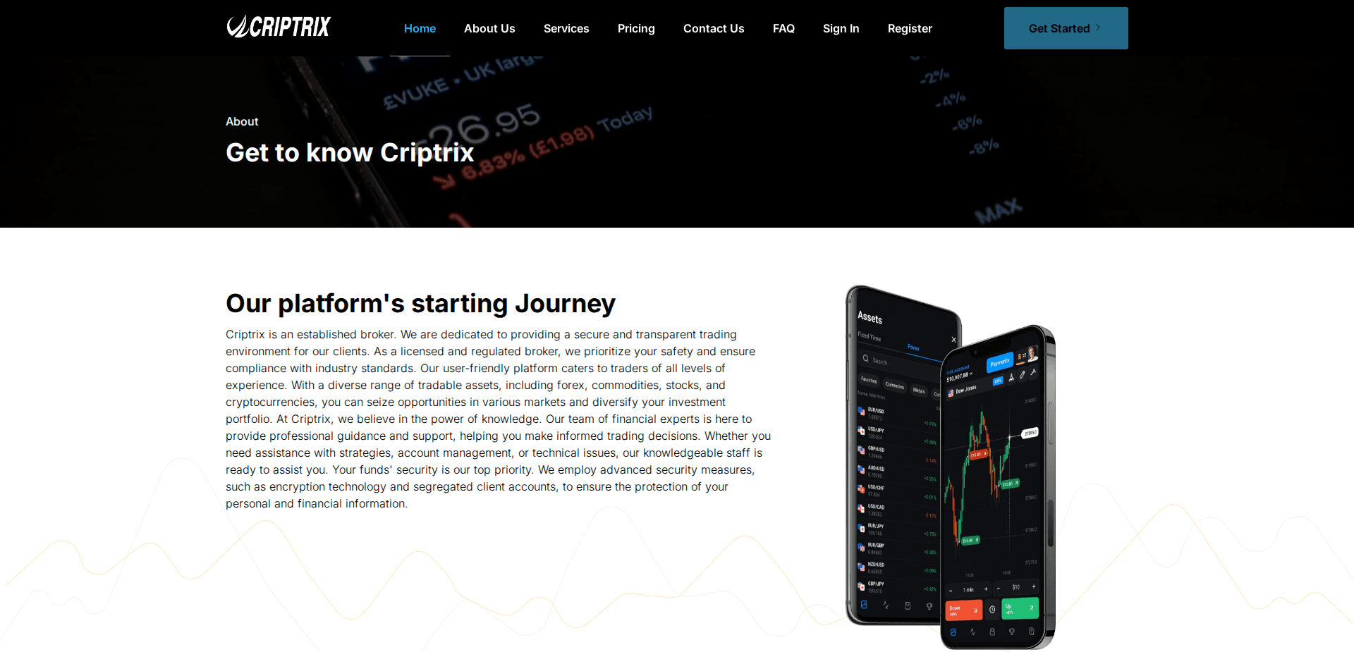 Website screenshot for https://criptrix.com/ - 3