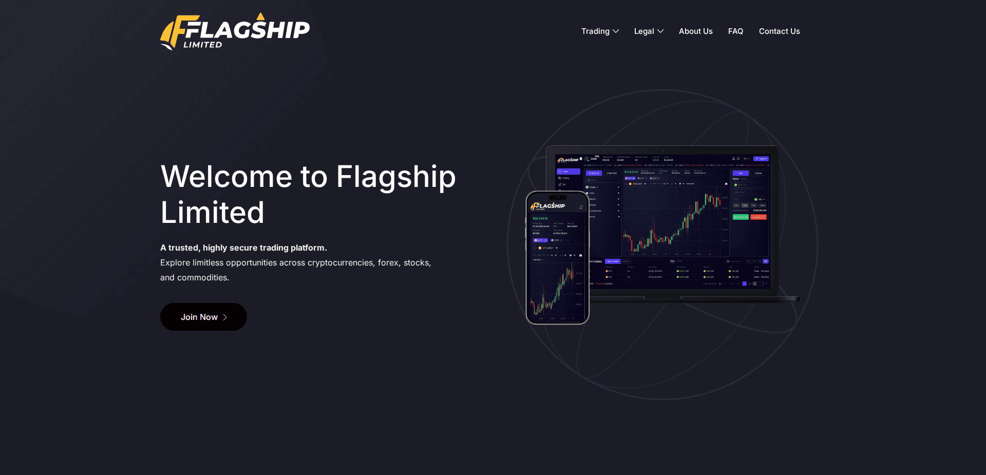 Website screenshot for https://flagshiplimited.com/ - 1