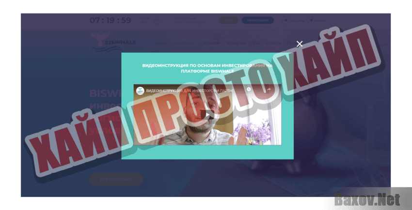 Biswhale LTD Хайп Просто хайп