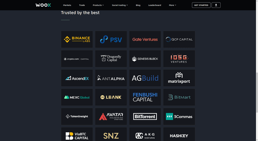 Критический обзор платформы WOO - партнеры