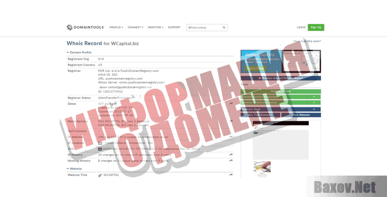 W Capital Информация о домене