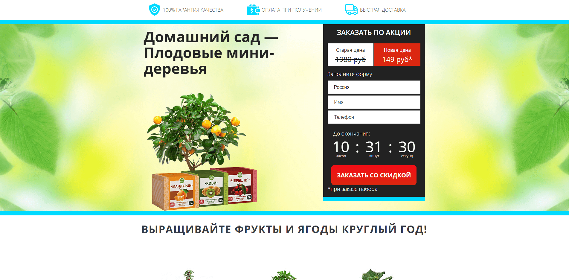 Плодовые мини-деревья