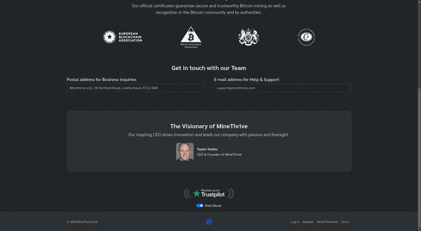 Критический разбор сервиса MineThrive - основатель