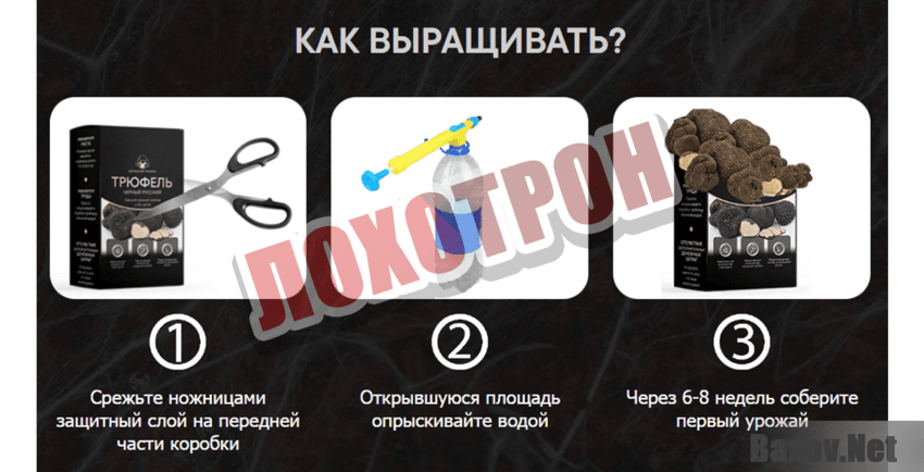 truffel.biogard-sad.ru Лохотрон