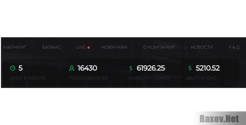 Vixes Хайп Просто хайп