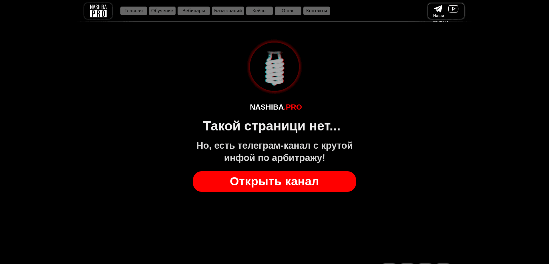 Screenshot for nashiba.pro - 0