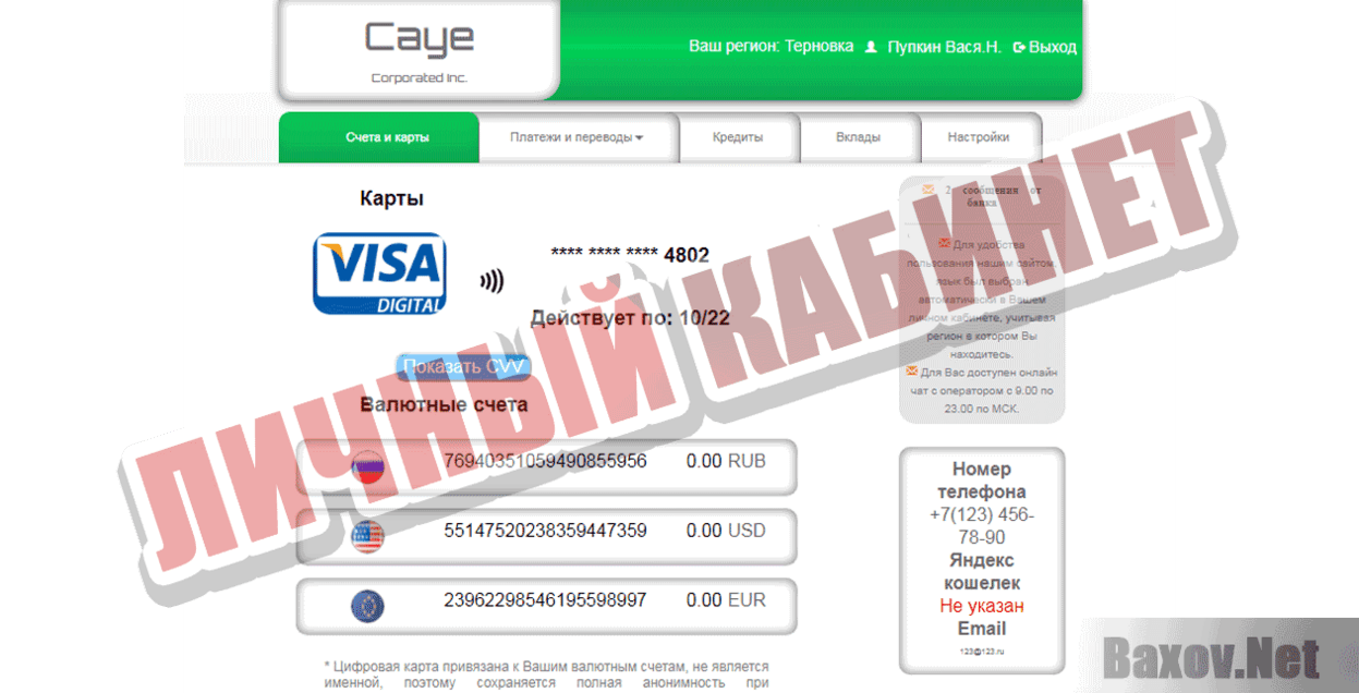 Caye Corporated Inc Личный кабинет