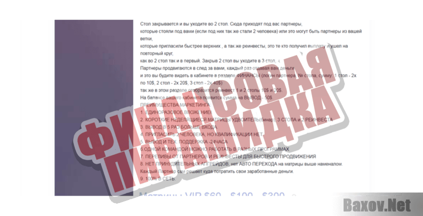 Reach People Club Финансовая пирамидка