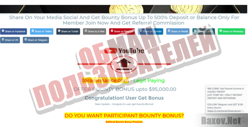 ToramFinance - Обман пользователей