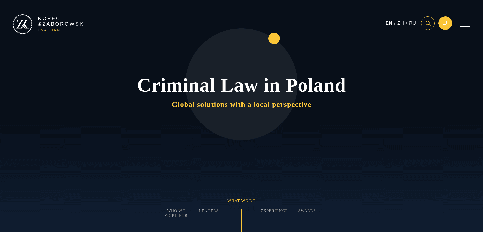 Screenshot for criminallawpoland.com - 2