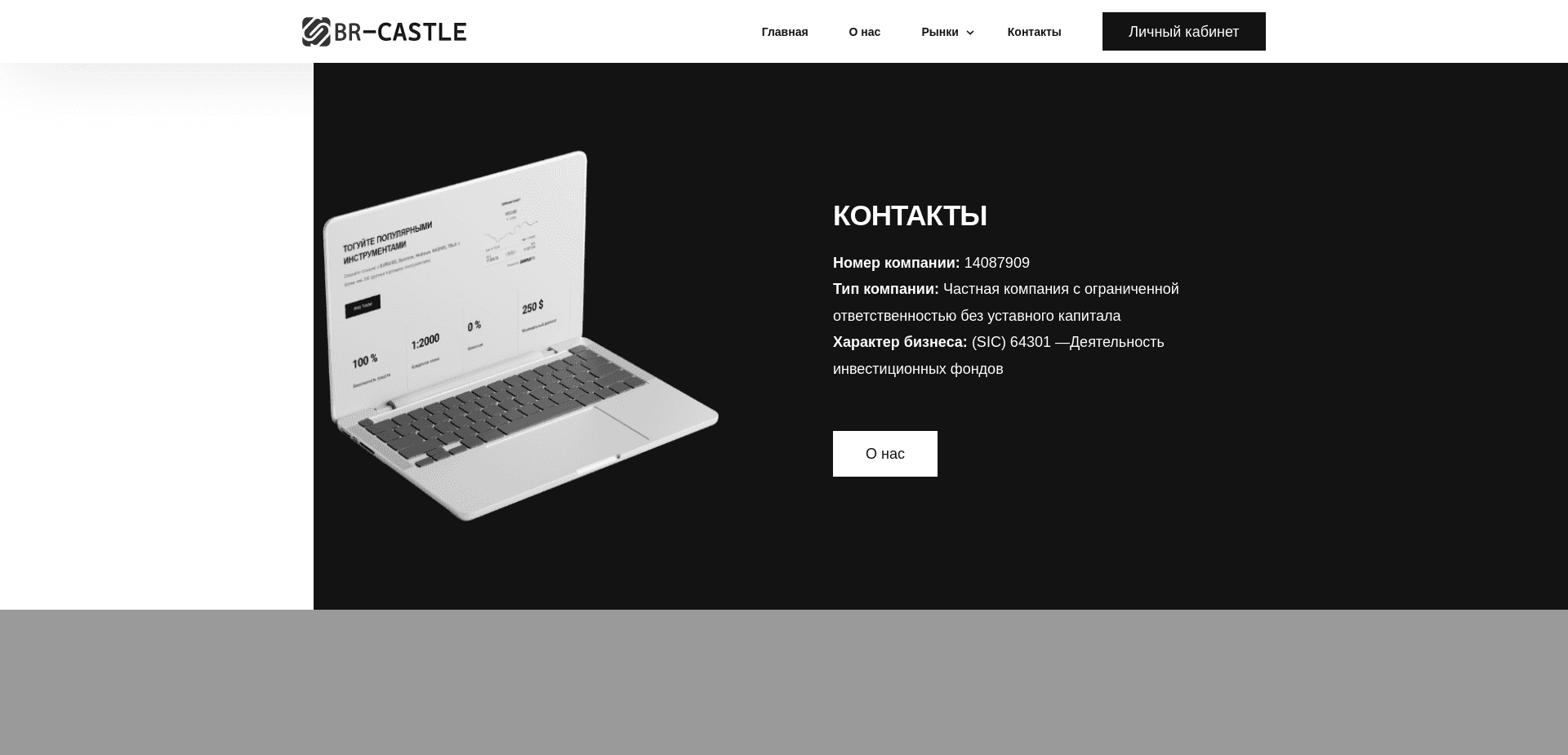 Screenshot for br-castle.org - 0