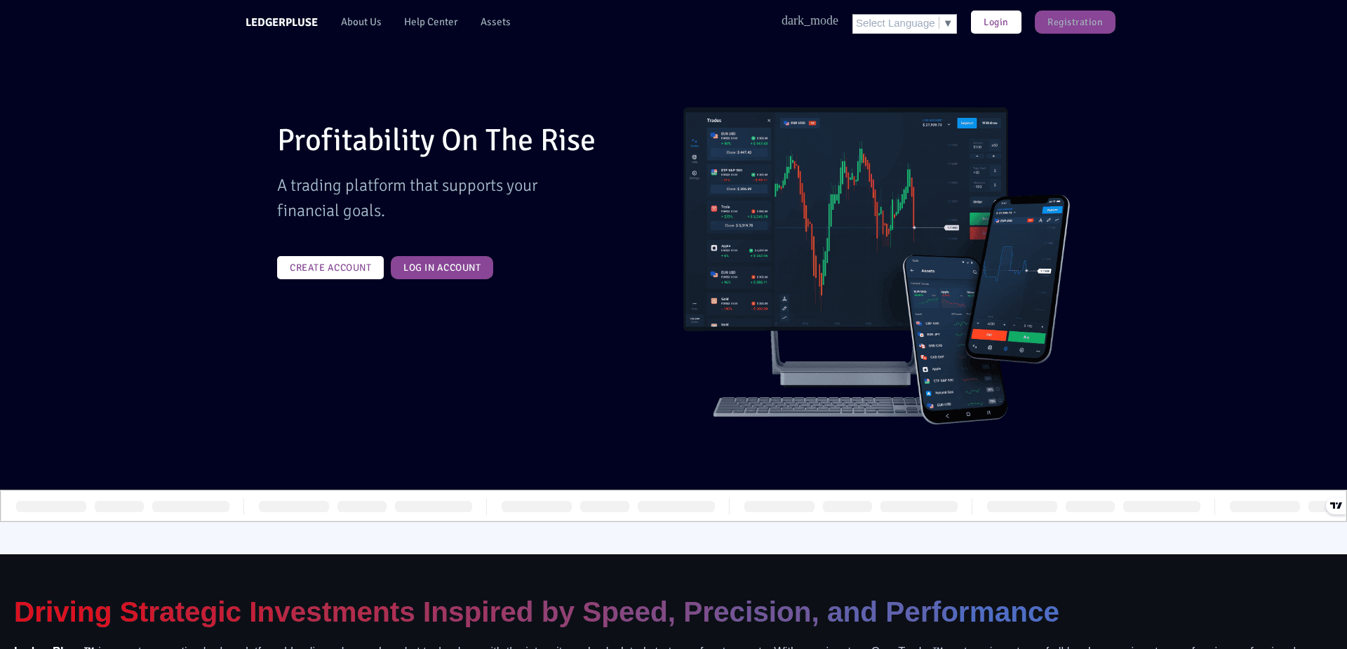 Screenshot for ledgerpluse.com - 2