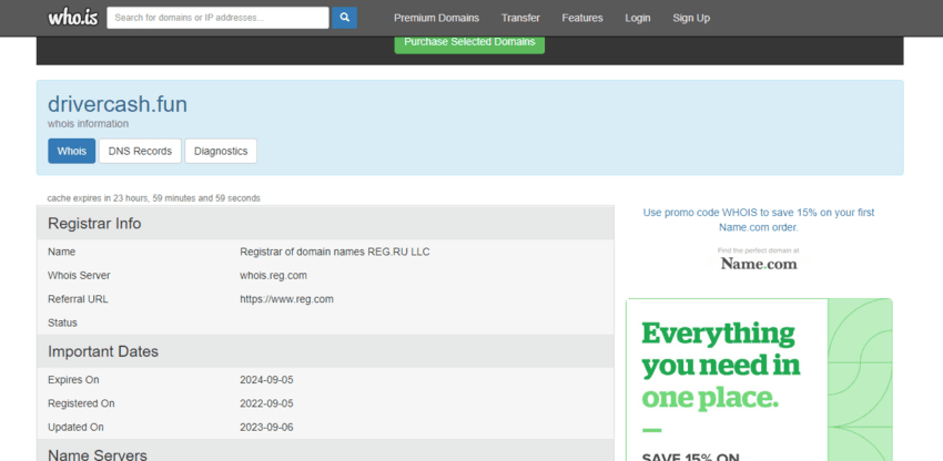данные о регистрации домена компании