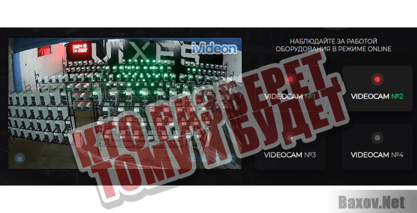 Vixes Кто разберет - тому и будет