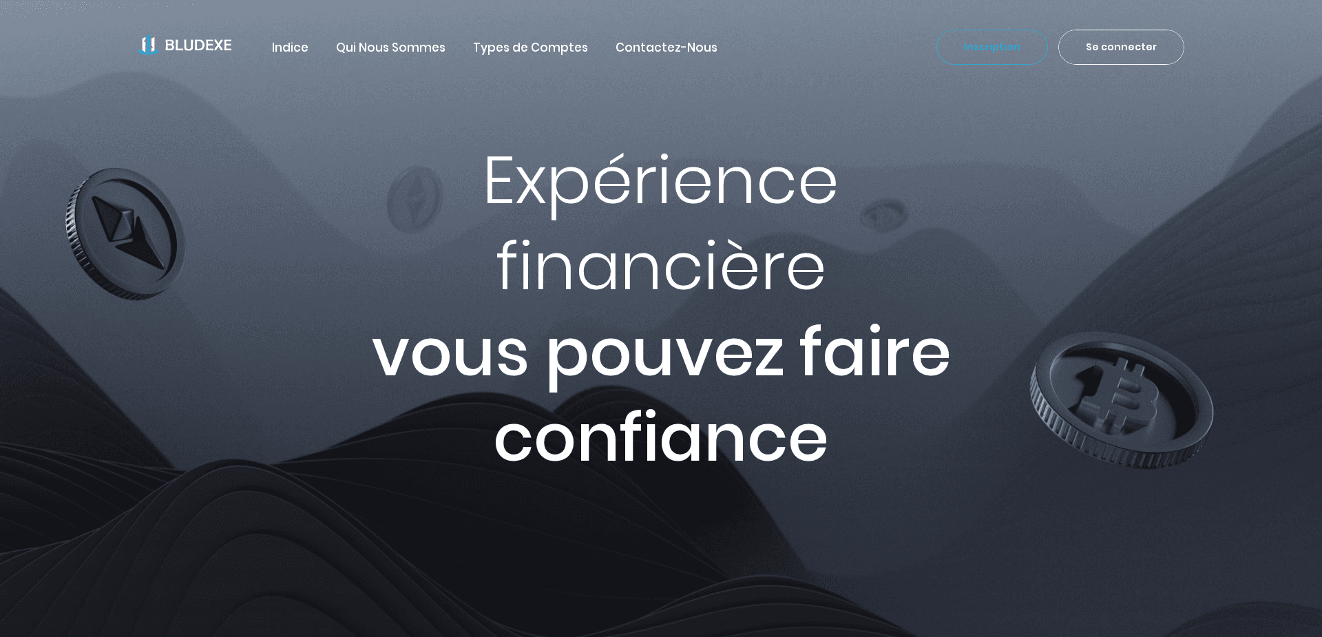 Screenshot for bludexe.org - 0