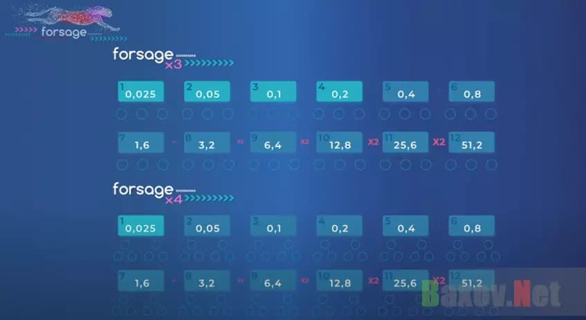 Маркетинг хайп-проекта Forsage