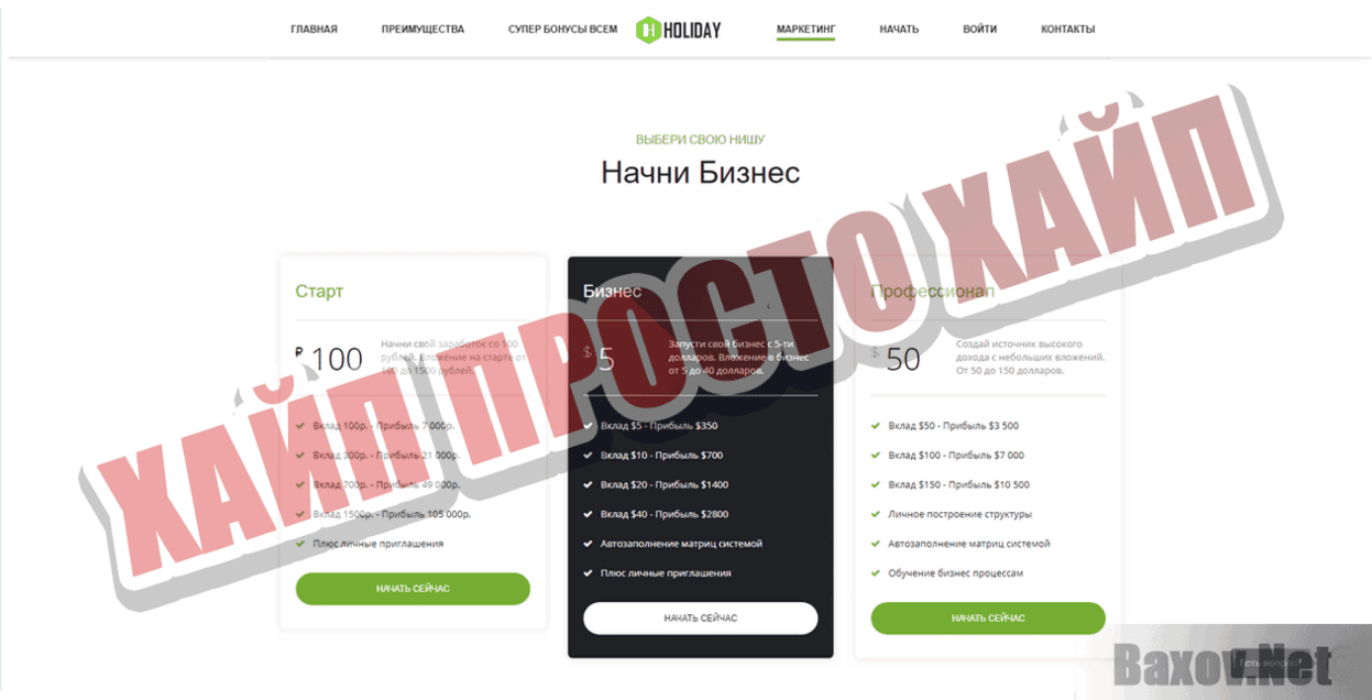 Holiday Profit Хайп Просто хайп