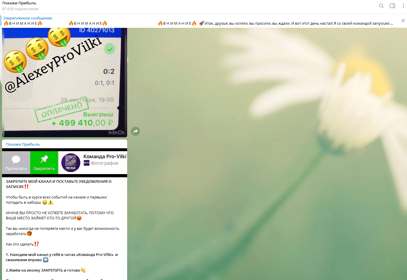 Команда Pro-Vilki