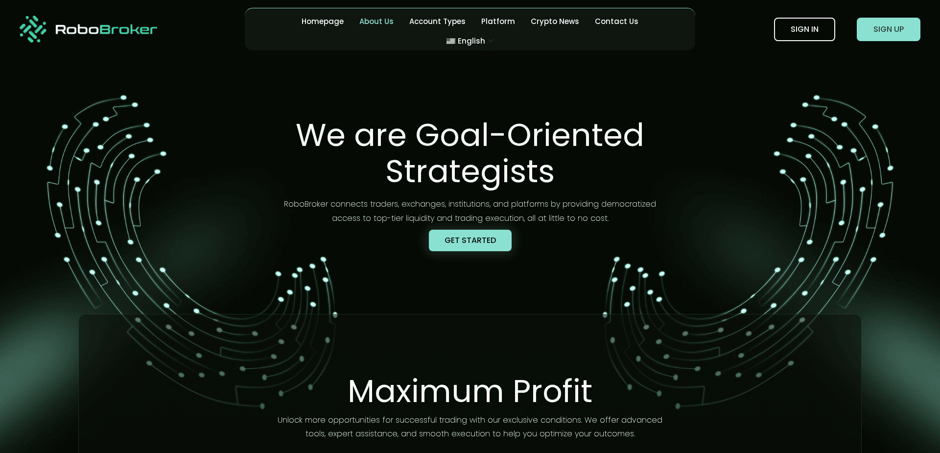 Screenshot for robobrokerltd.com - 1