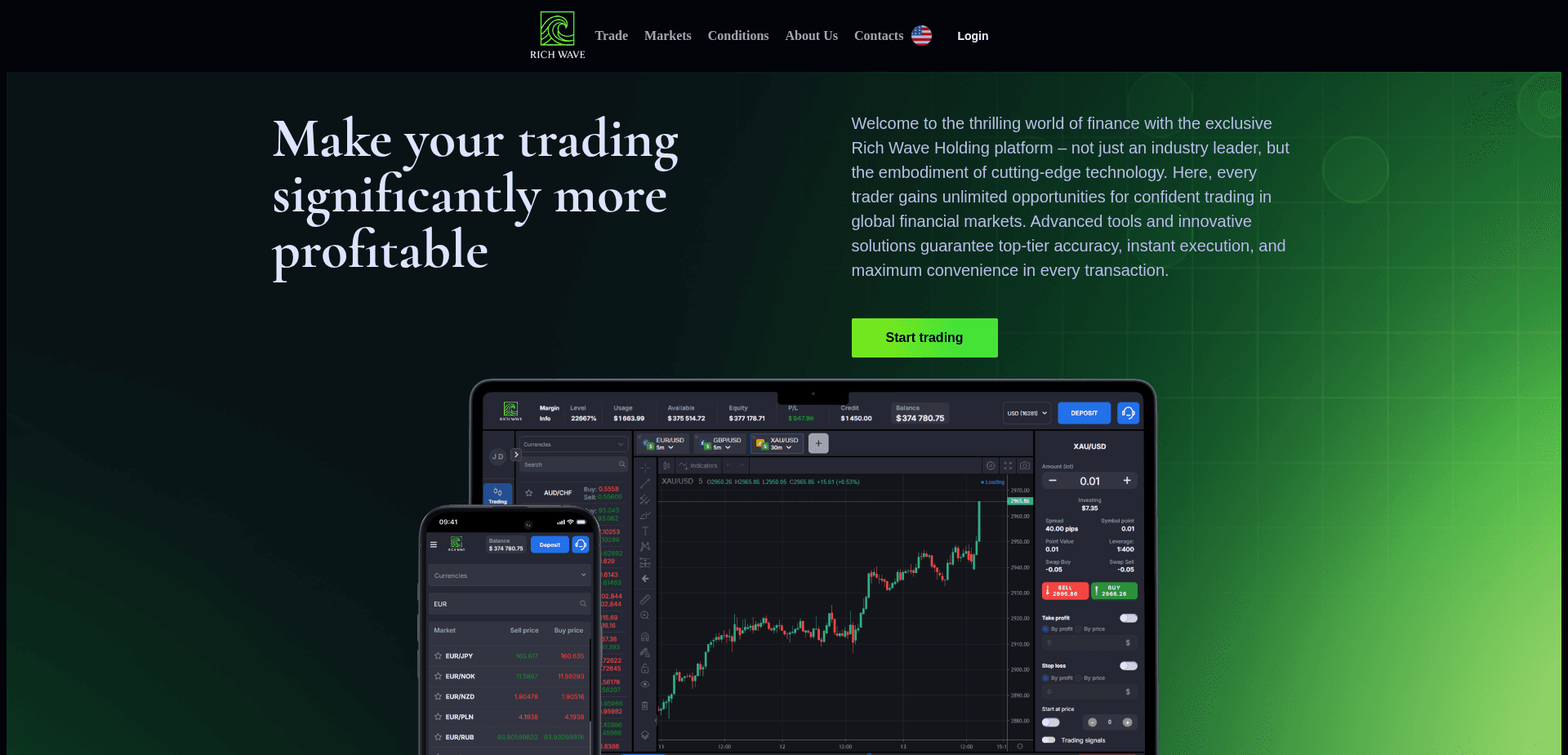 Screenshot for richwaveholding.com - 1