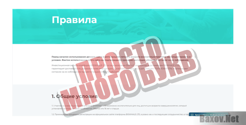 Biswhale LTD Просто много букв