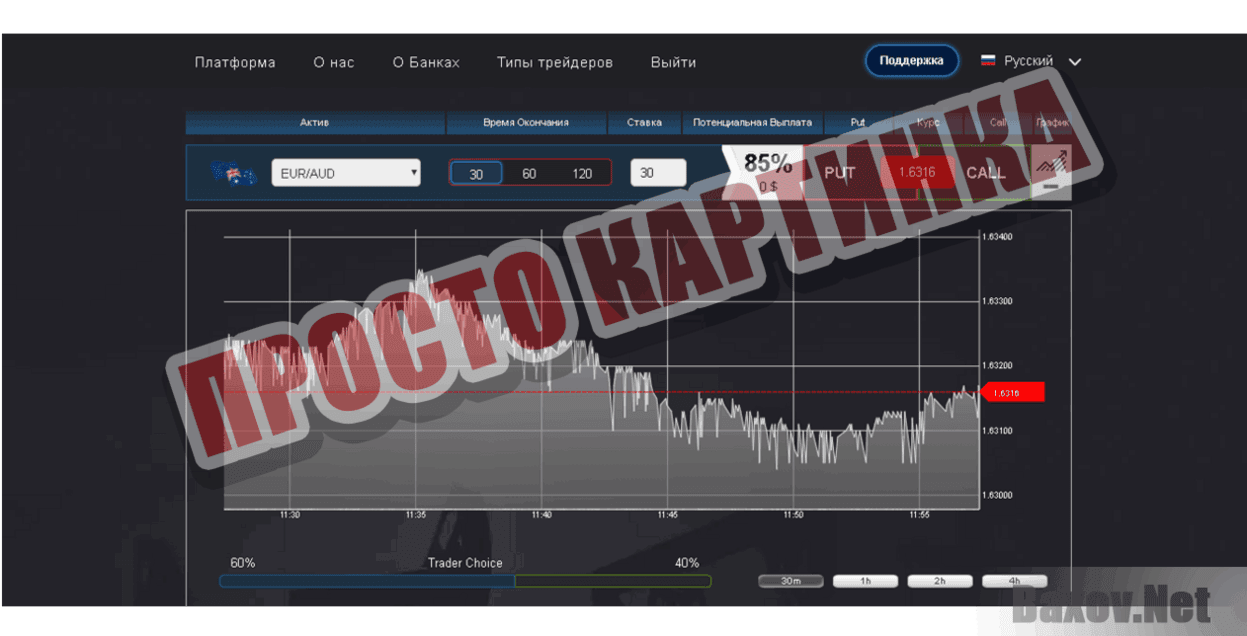 FreshOption Просто картинка